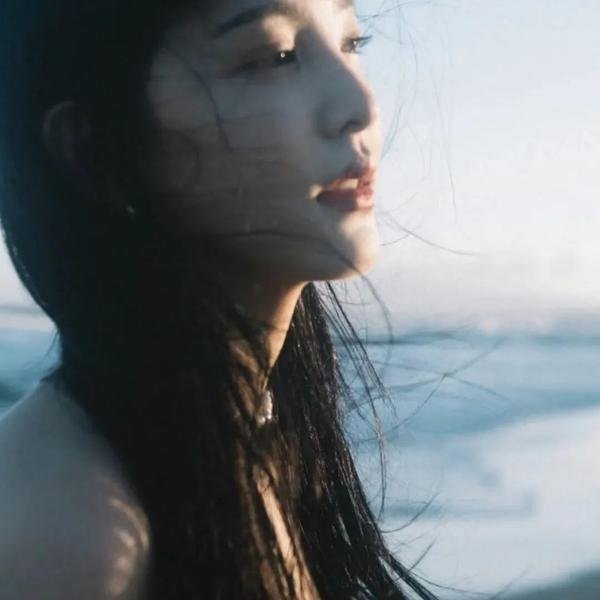 朝雪录