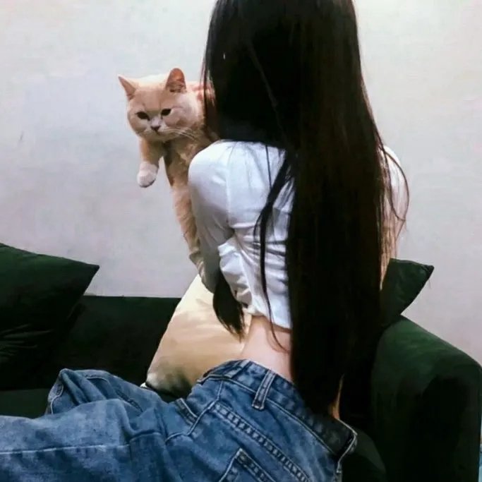 追爱家族